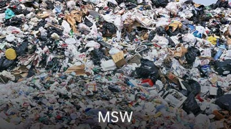 MSW